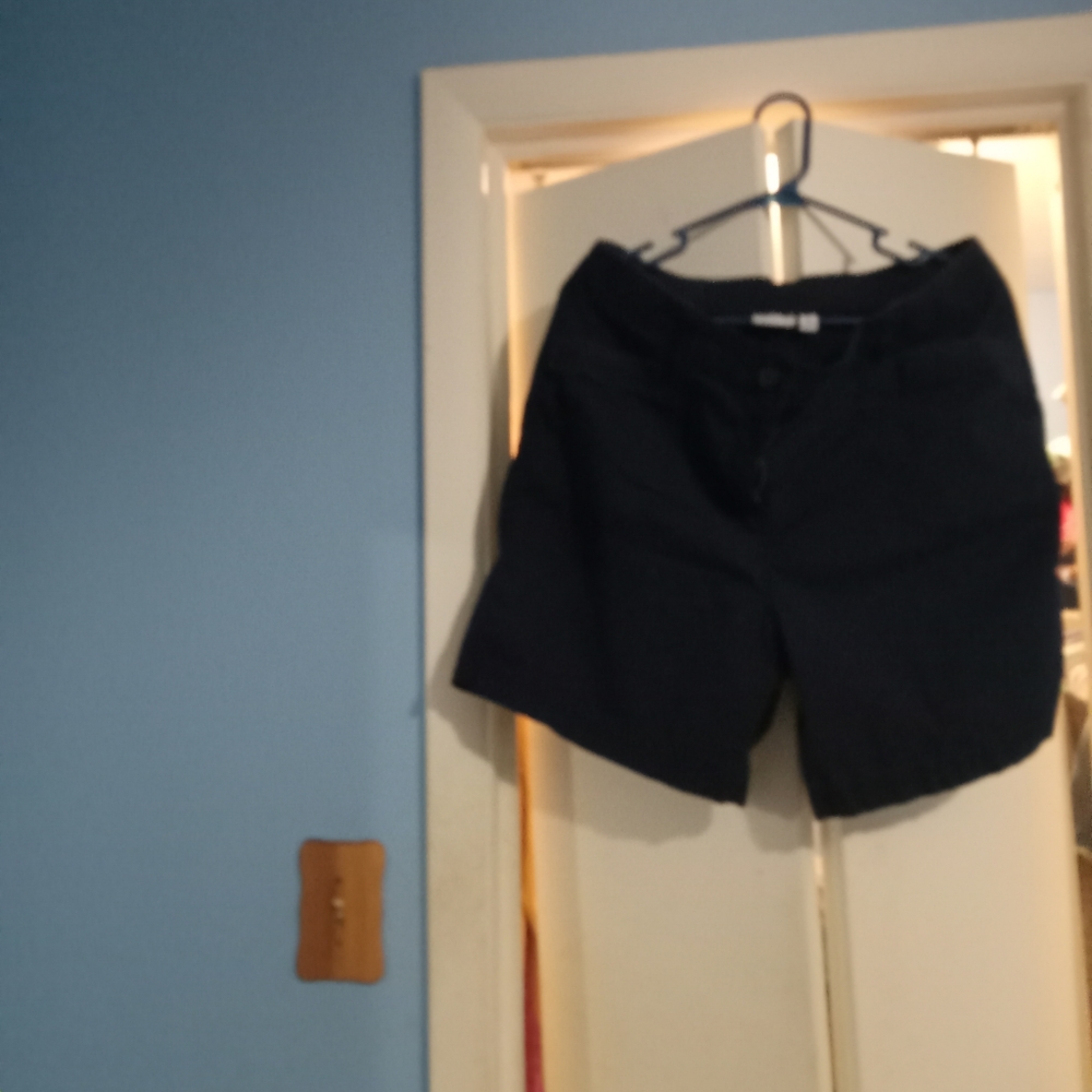 ๐๐ฉท๐ค NWOT Womens Kim Rogers Shorts (1) Kim Roger's Shorts (1) 16 Duo Casual - Picture 5 of 6